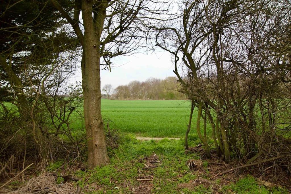 Spacious 5 Bed In The Countryside, Close To Frinton-On-Sea Kirby Cross Kültér fotó